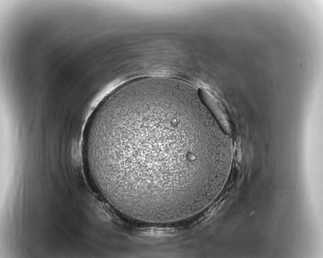 X0000085310292200703161457