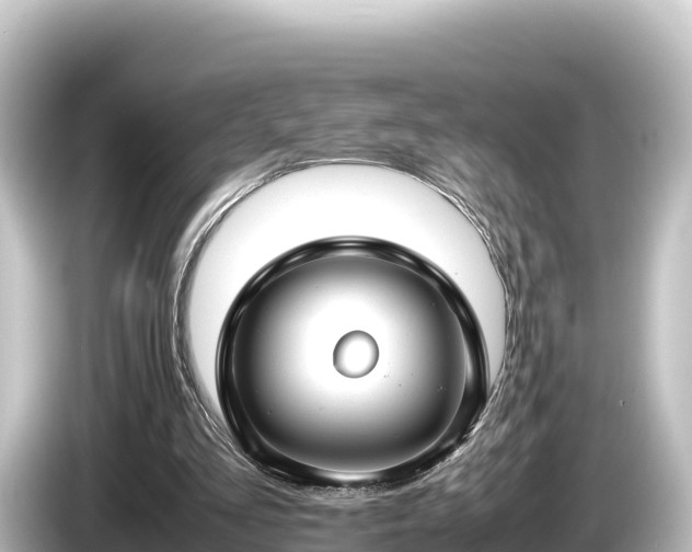 X0000085310293200703161457