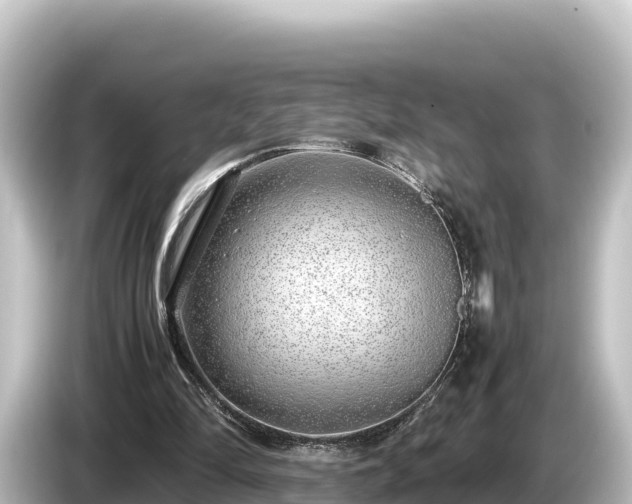 X0000085310294200703161457