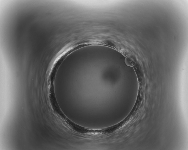 X0000085310295200703161457