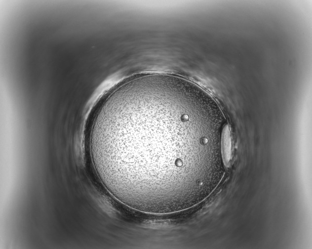 X0000085310296200703161457