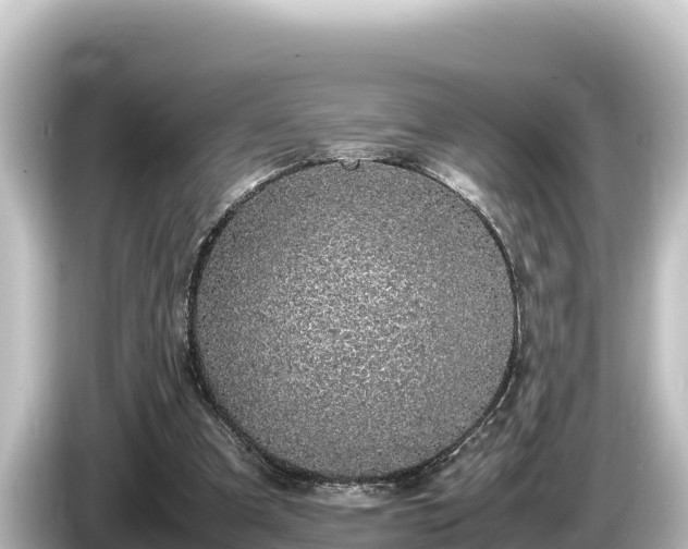 X0000085310297200703161457