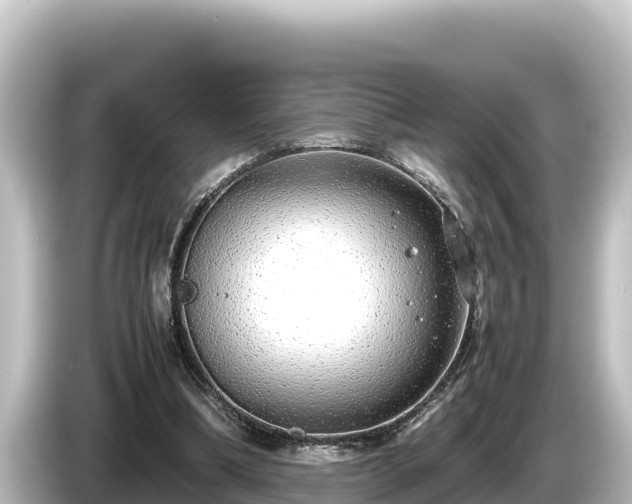 X0000085310298200703161457