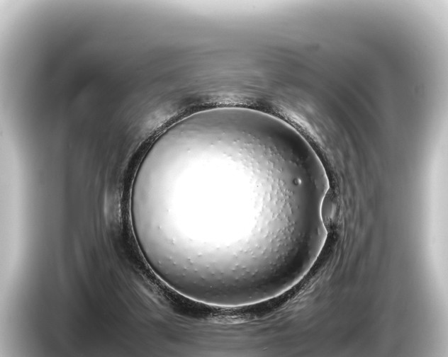 X0000085310299200703161457