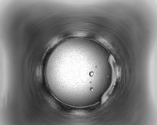X0000085310300200703161457
