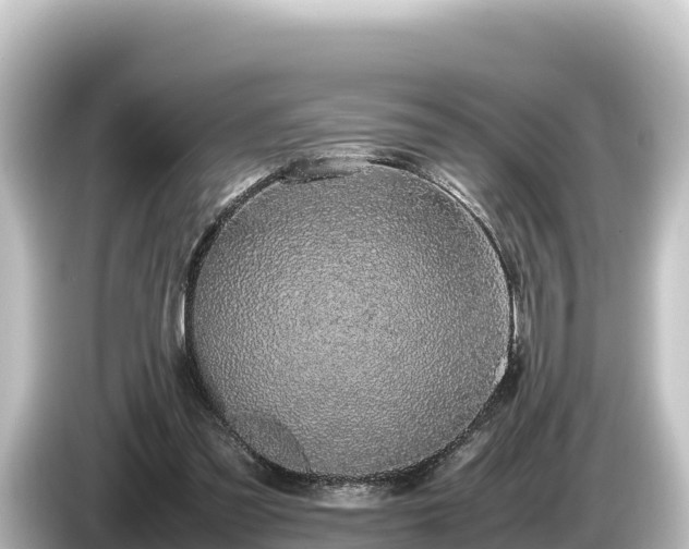 X0000085310301200703161457