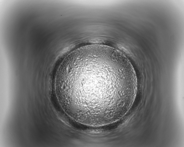 X0000085310303200703161457