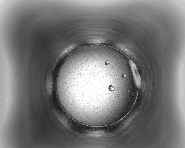 X0000085310304200703161457