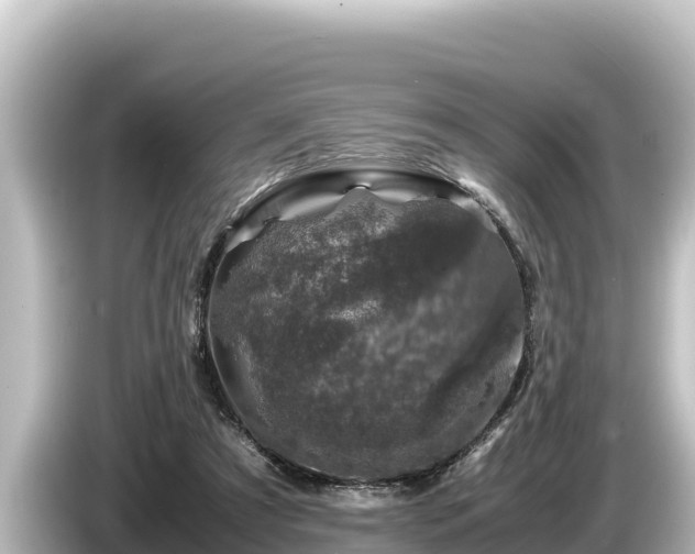 X0000085310305200703161456