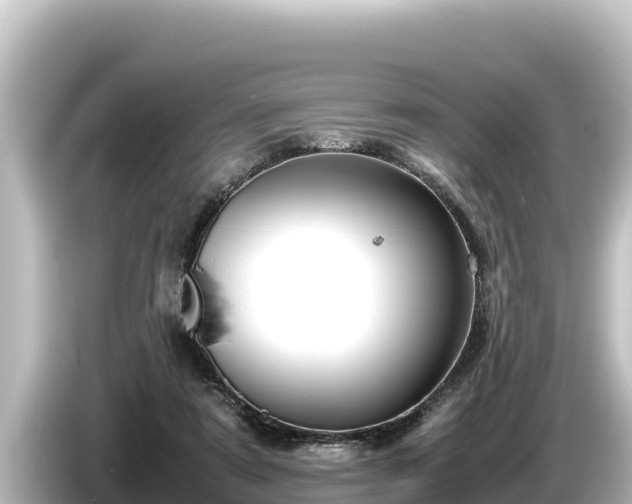 X0000085310307200703161456