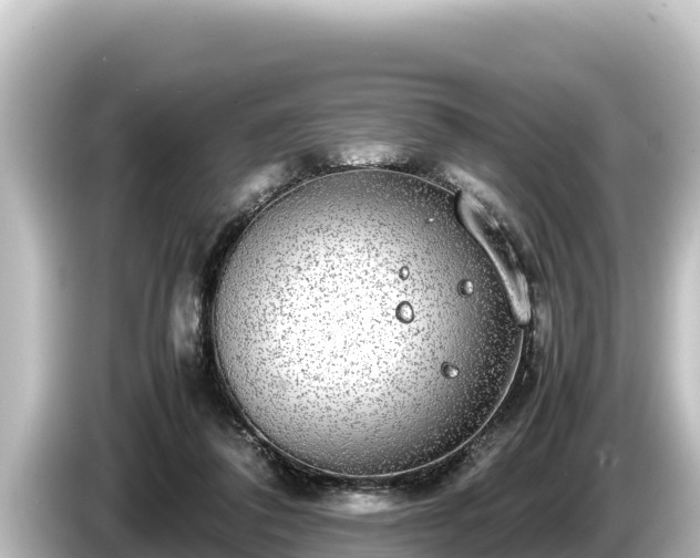 X0000085310308200703161456