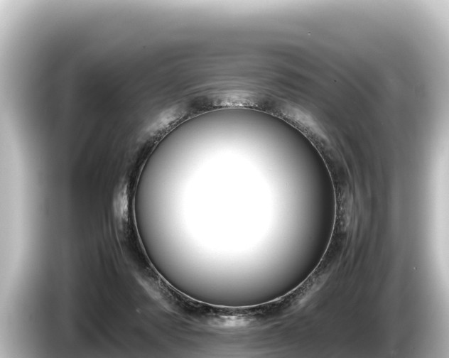 X0000085310310200703161456