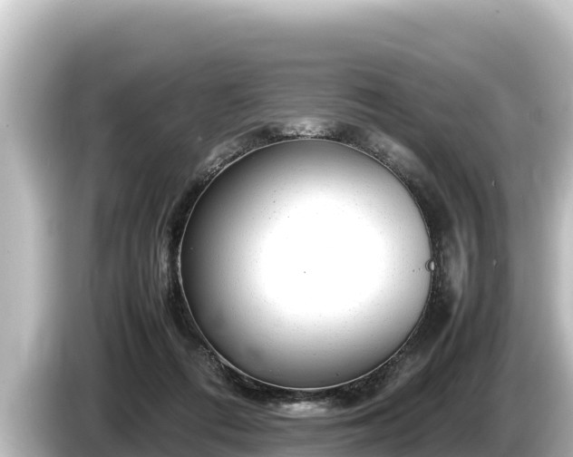 X0000085310312200703161456