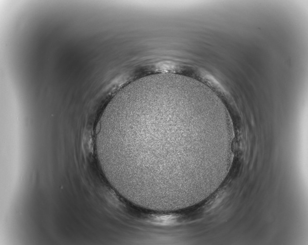 X0000085310313200703161456