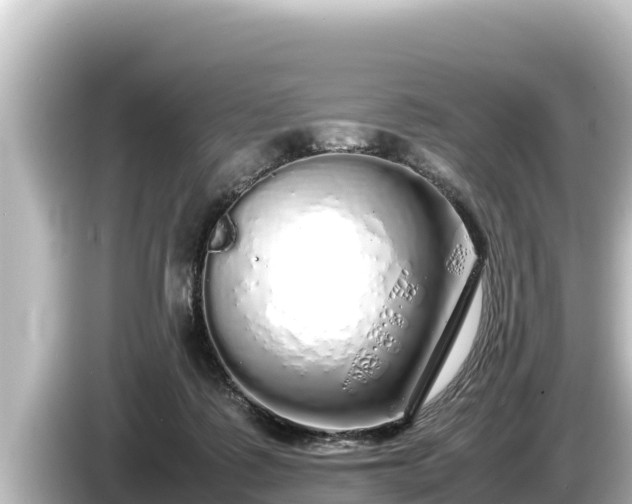 X0000085310315200703161456