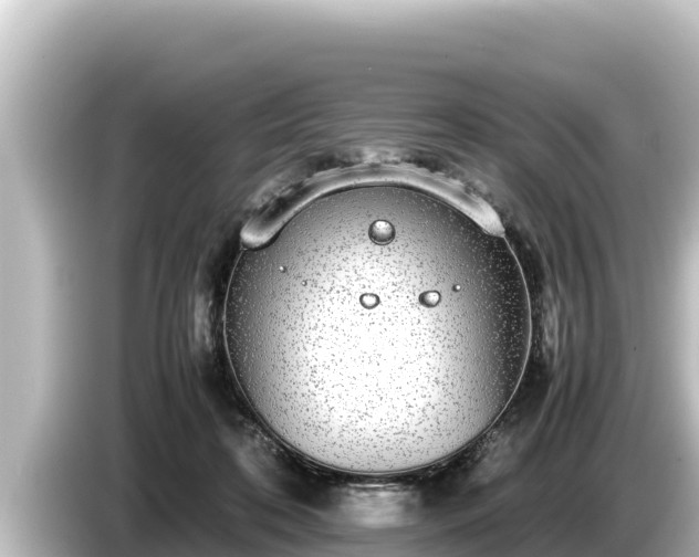 X0000085310316200703161456