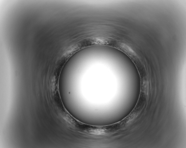 X0000085310318200703161456