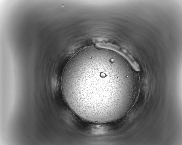 X0000085310324200703161456
