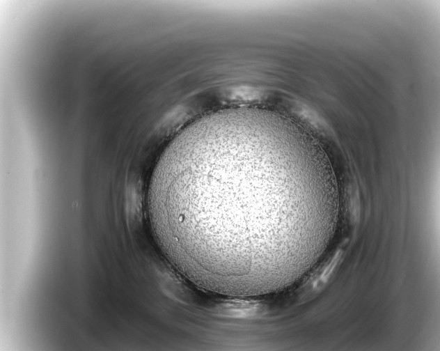 X0000085310328200703161456