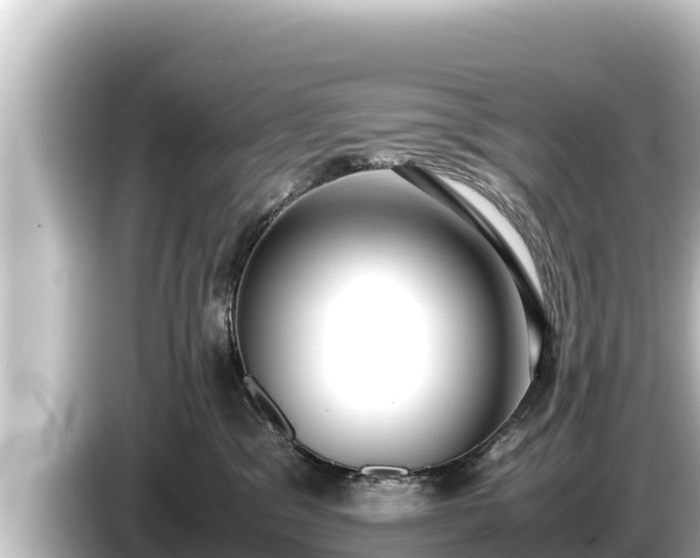 X0000085310329200703161456