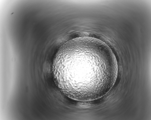 X0000085310331200703161456