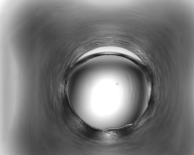 X0000085310333200703161456