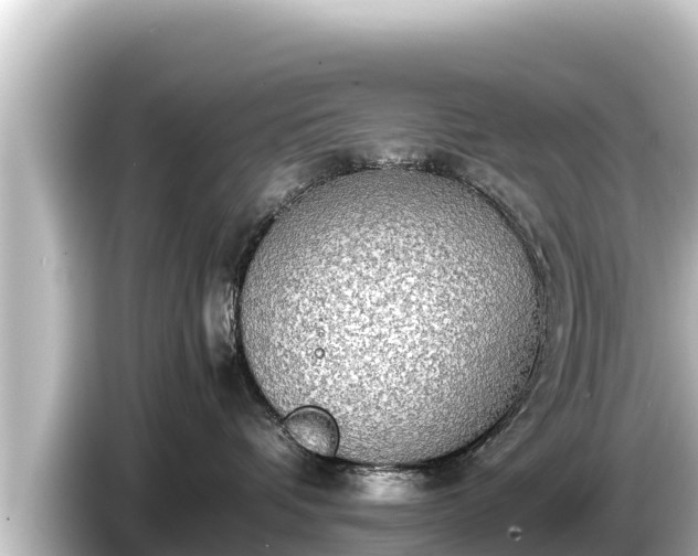 X0000085310336200703161456