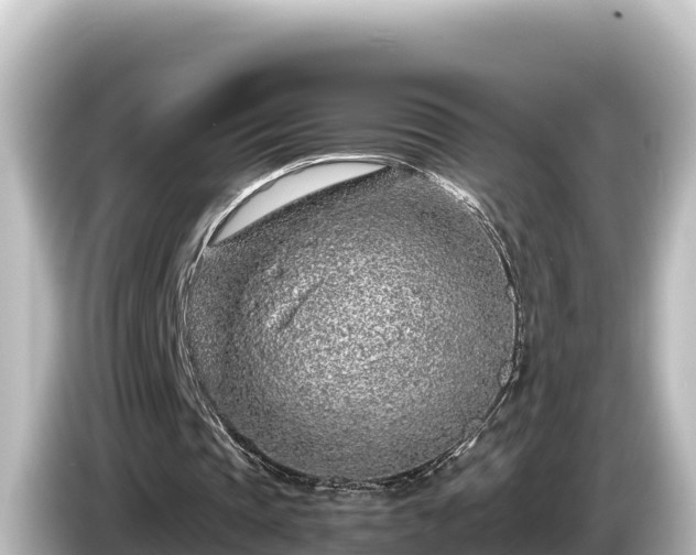 X0000085310337200703161456