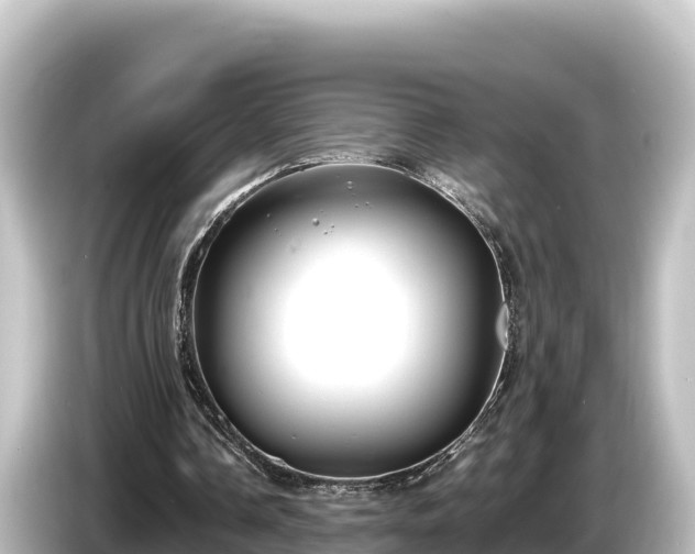 X0000085310338200703161456