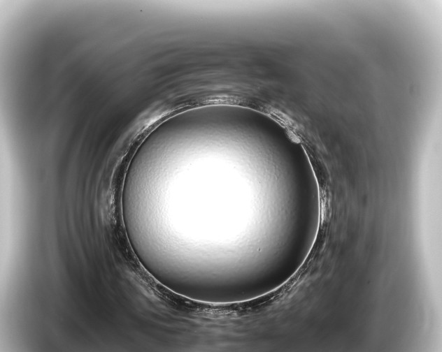 X0000085310339200703161456