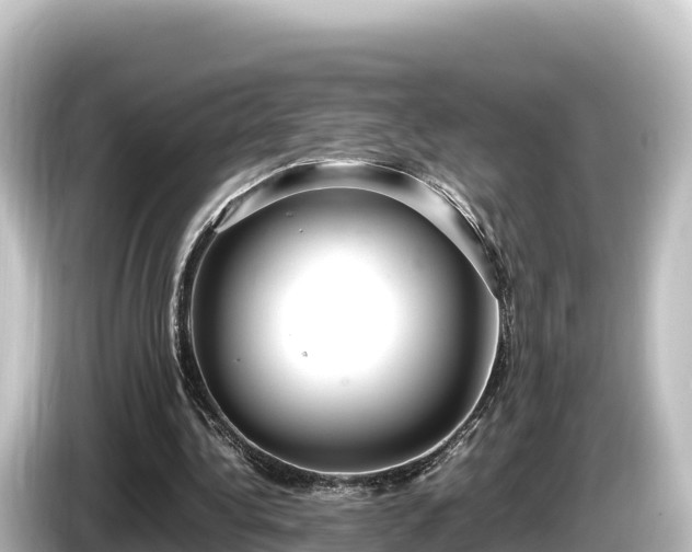 X0000085310340200703161456