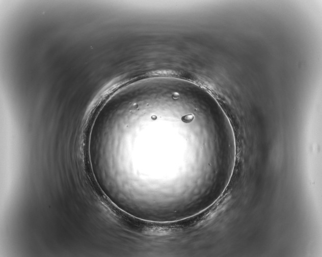 X0000085310341200703161456