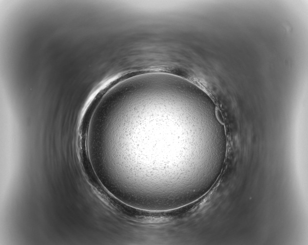 X0000085310342200703161456