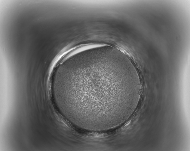 X0000085310343200703161456
