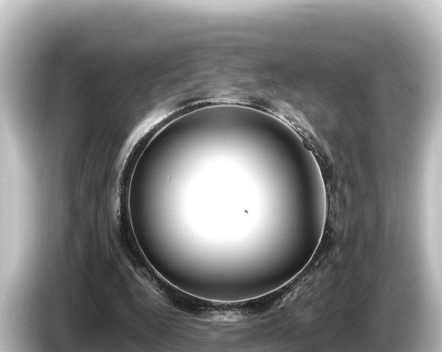 X0000085310344200703161456