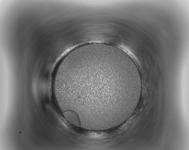 X0000085310346200703161456