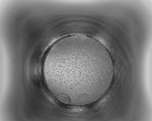X0000085310347200703161456