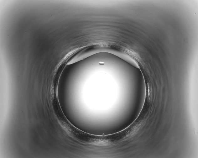 X0000085310348200703161456