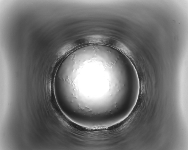 X0000085310349200703161456