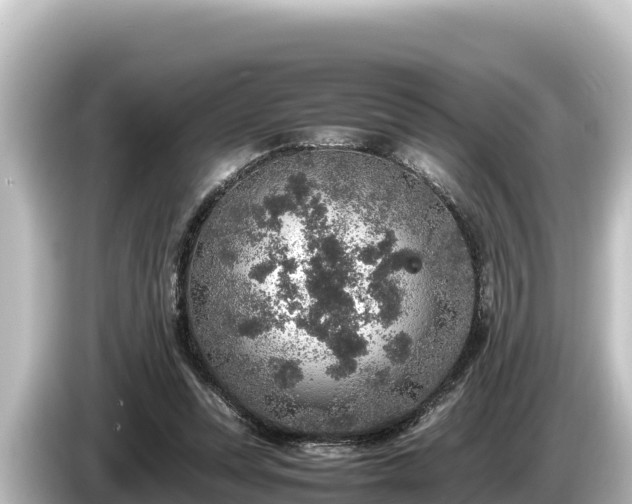 X0000085310351200703161456