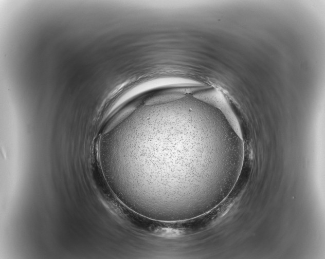 X0000085310352200703161456
