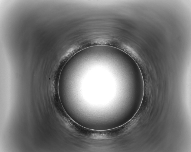 X0000085310354200703161456