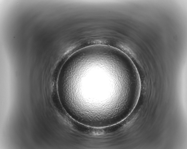 X0000085310355200703161456