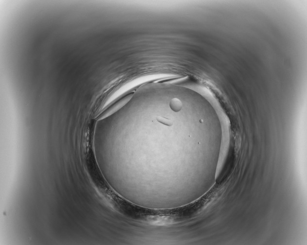 X0000085310356200703161456