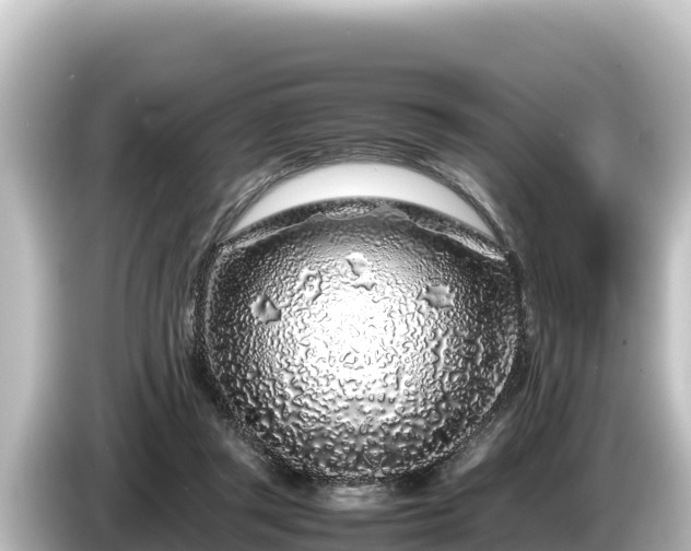 X0000085310357200703161456