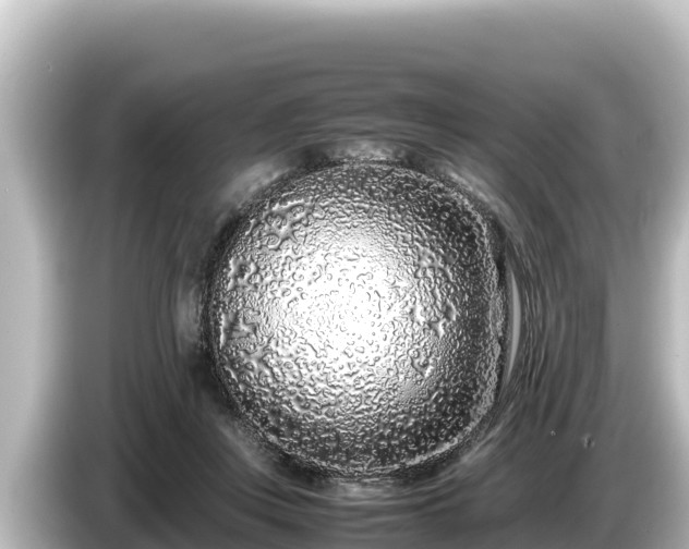 X0000085310359200703161456