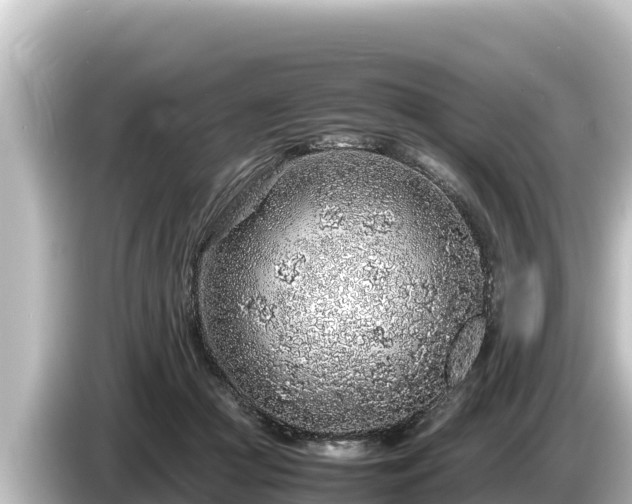 X0000085310361200703161456