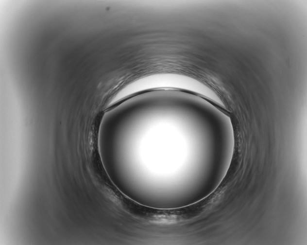 X0000085310362200703161456