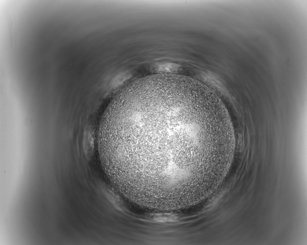 X0000085310363200703161456
