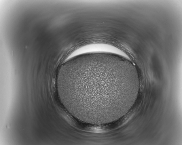 X0000085310365200703161456